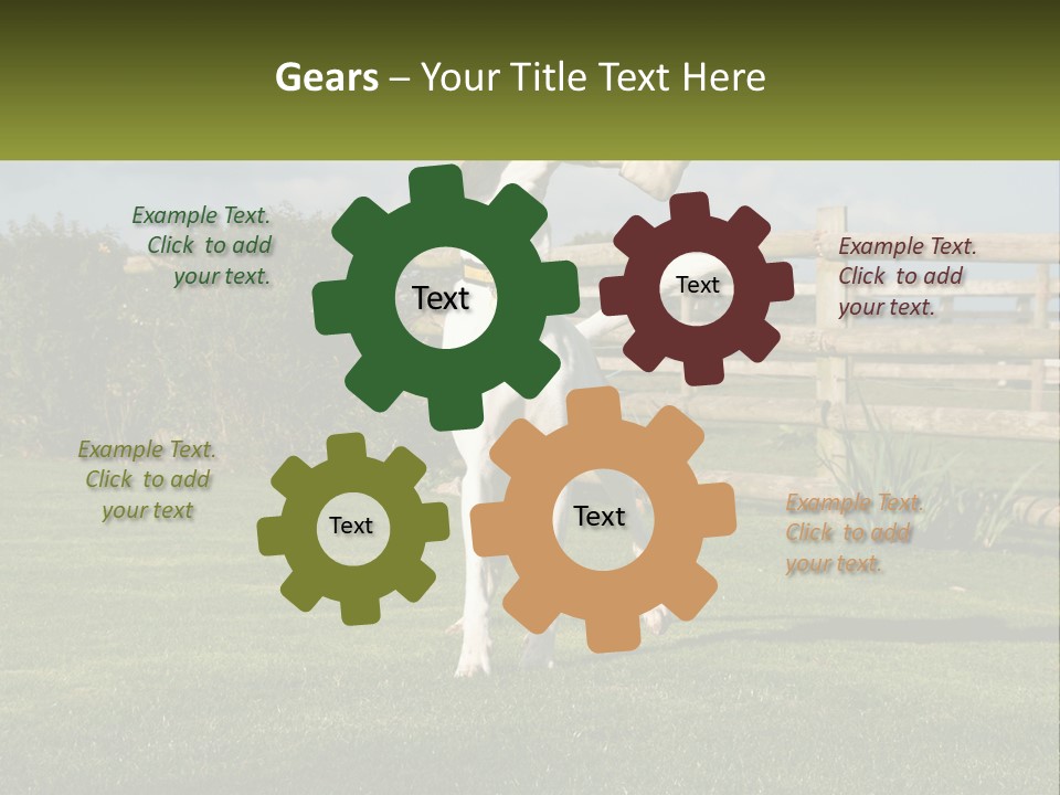 A Dog Jumping Up In The Air To Catch A Frisbee PowerPoint Template