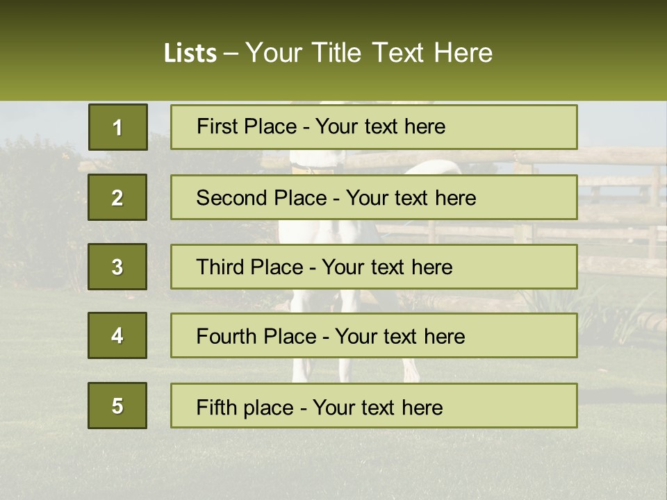 A Dog Jumping Up In The Air To Catch A Frisbee PowerPoint Template