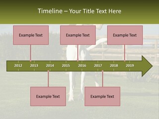 A Dog Jumping Up In The Air To Catch A Frisbee PowerPoint Template