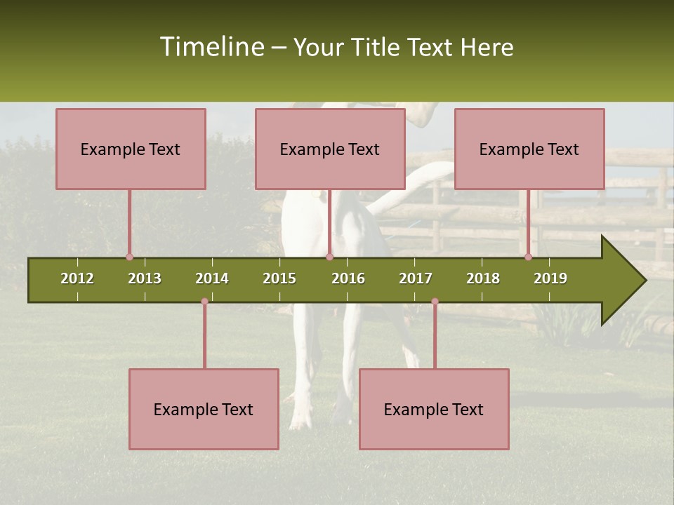 A Dog Jumping Up In The Air To Catch A Frisbee PowerPoint Template
