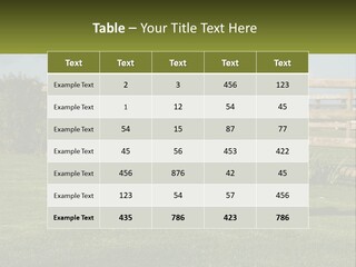 A Dog Jumping Up In The Air To Catch A Frisbee PowerPoint Template
