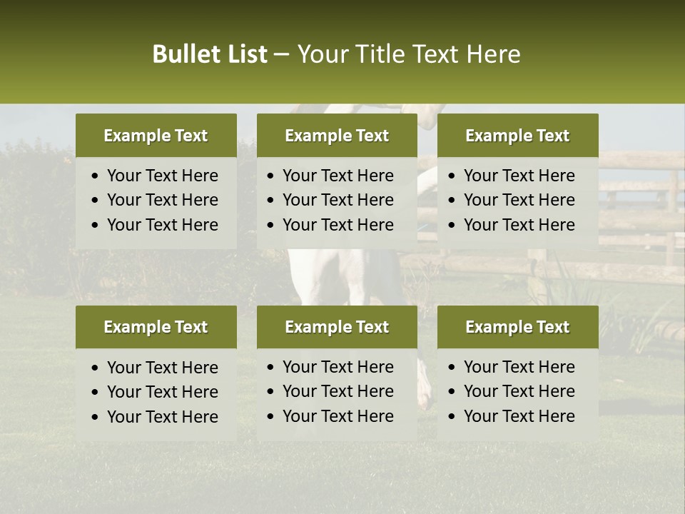 A Dog Jumping Up In The Air To Catch A Frisbee PowerPoint Template