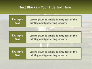 A Dog Jumping Up In The Air To Catch A Frisbee PowerPoint Template