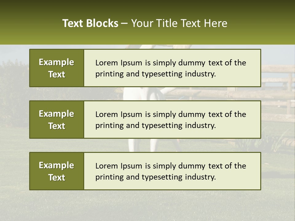 A Dog Jumping Up In The Air To Catch A Frisbee PowerPoint Template