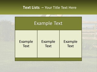 A Dog Jumping Up In The Air To Catch A Frisbee PowerPoint Template