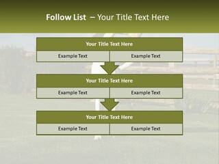 A Dog Jumping Up In The Air To Catch A Frisbee PowerPoint Template