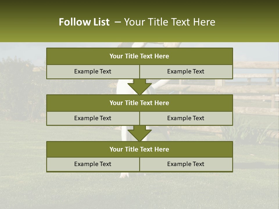A Dog Jumping Up In The Air To Catch A Frisbee PowerPoint Template