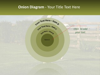 A Dog Jumping Up In The Air To Catch A Frisbee PowerPoint Template