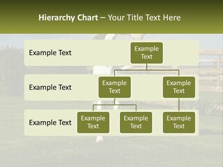A Dog Jumping Up In The Air To Catch A Frisbee PowerPoint Template