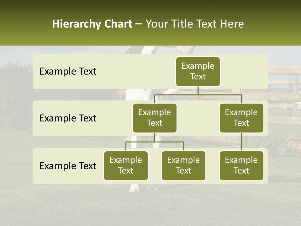 A Dog Jumping Up In The Air To Catch A Frisbee PowerPoint Template