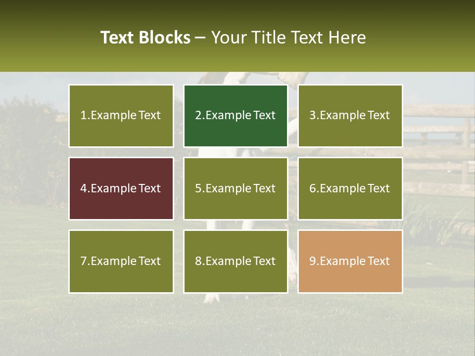 A Dog Jumping Up In The Air To Catch A Frisbee PowerPoint Template