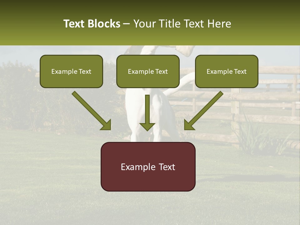 A Dog Jumping Up In The Air To Catch A Frisbee PowerPoint Template