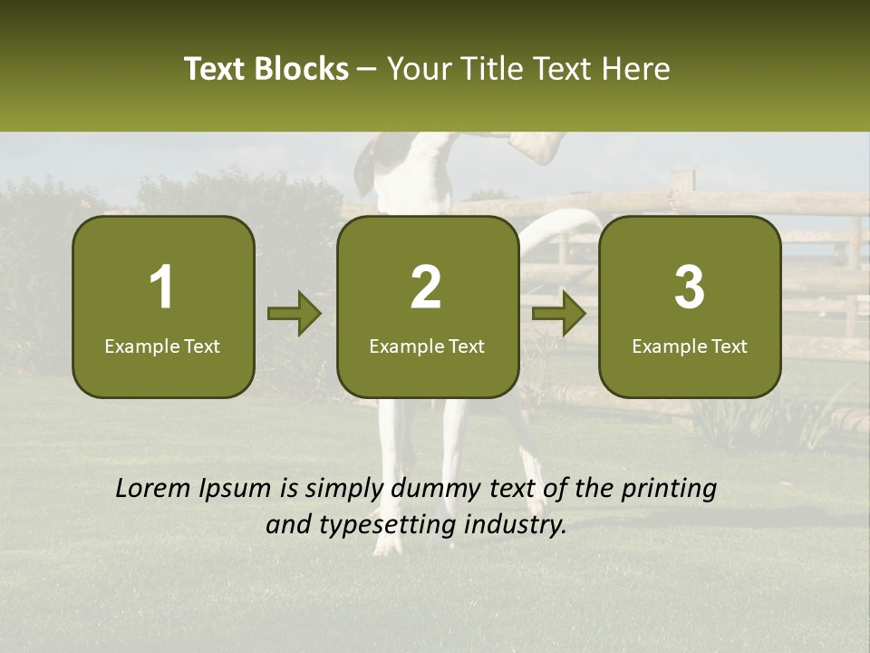 A Dog Jumping Up In The Air To Catch A Frisbee PowerPoint Template