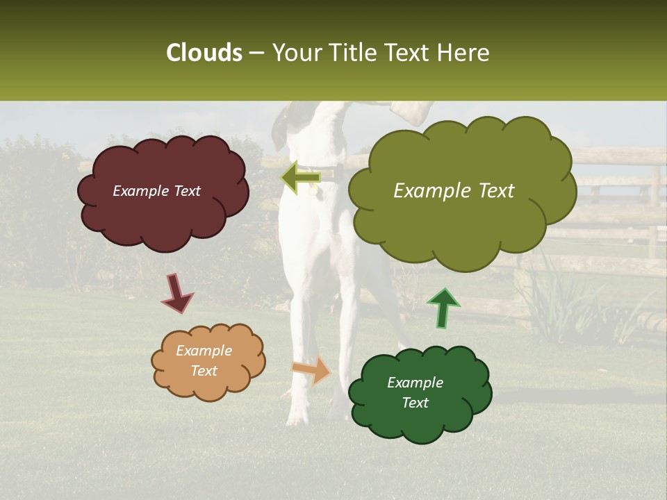 A Dog Jumping Up In The Air To Catch A Frisbee PowerPoint Template