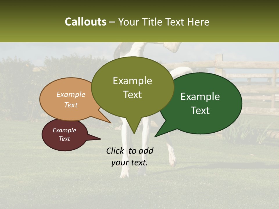 A Dog Jumping Up In The Air To Catch A Frisbee PowerPoint Template