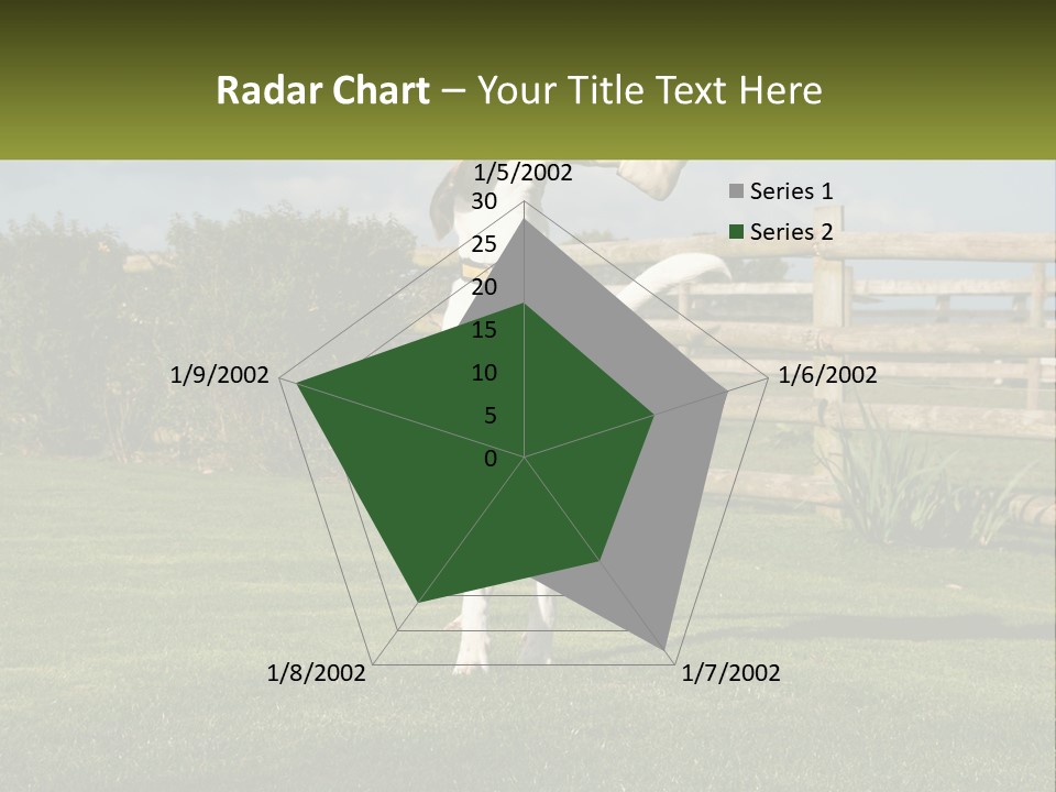 A Dog Jumping Up In The Air To Catch A Frisbee PowerPoint Template