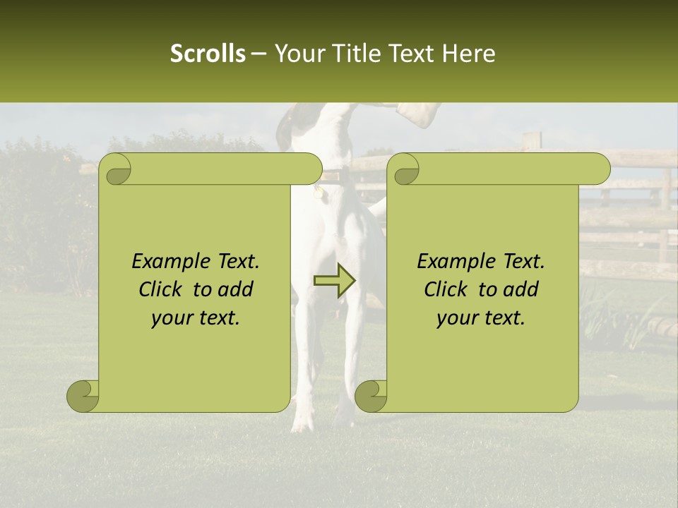 A Dog Jumping Up In The Air To Catch A Frisbee PowerPoint Template