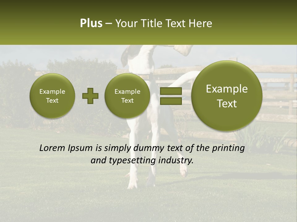 A Dog Jumping Up In The Air To Catch A Frisbee PowerPoint Template