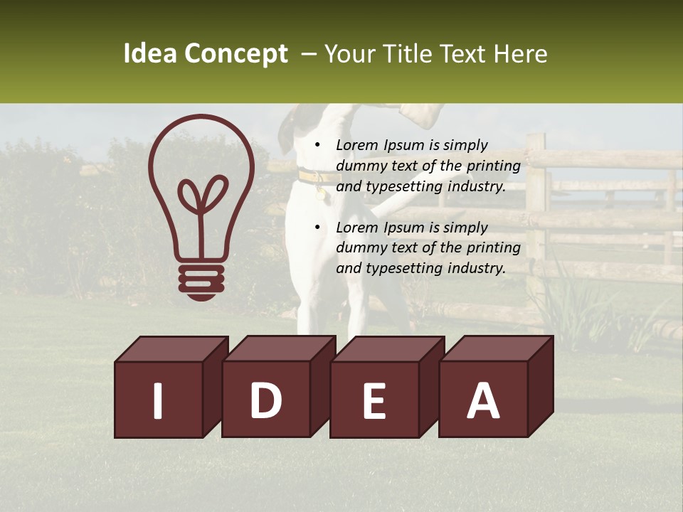 A Dog Jumping Up In The Air To Catch A Frisbee PowerPoint Template