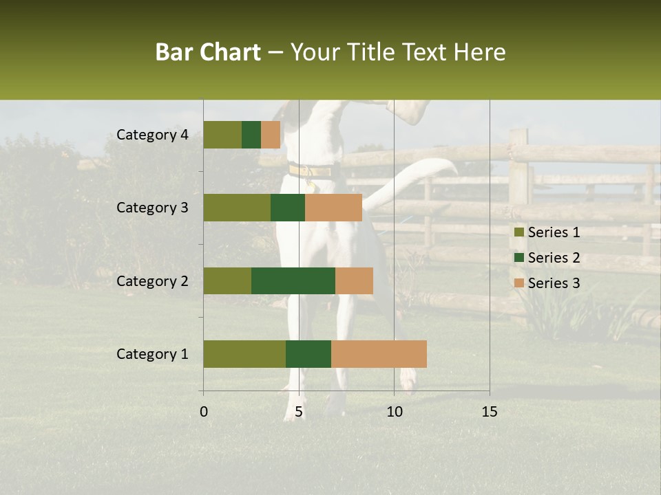A Dog Jumping Up In The Air To Catch A Frisbee PowerPoint Template