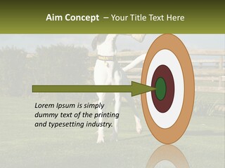 A Dog Jumping Up In The Air To Catch A Frisbee PowerPoint Template