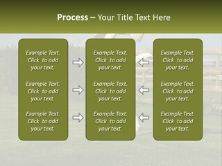 A Dog Jumping Up In The Air To Catch A Frisbee PowerPoint Template