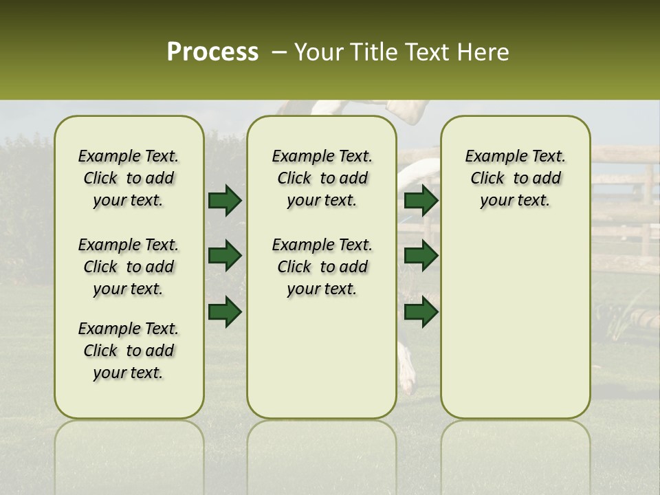 A Dog Jumping Up In The Air To Catch A Frisbee PowerPoint Template