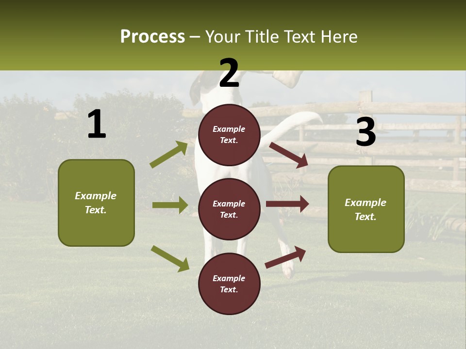 A Dog Jumping Up In The Air To Catch A Frisbee PowerPoint Template