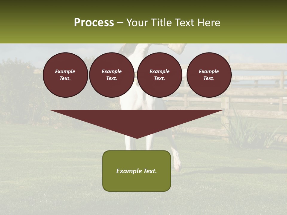 A Dog Jumping Up In The Air To Catch A Frisbee PowerPoint Template