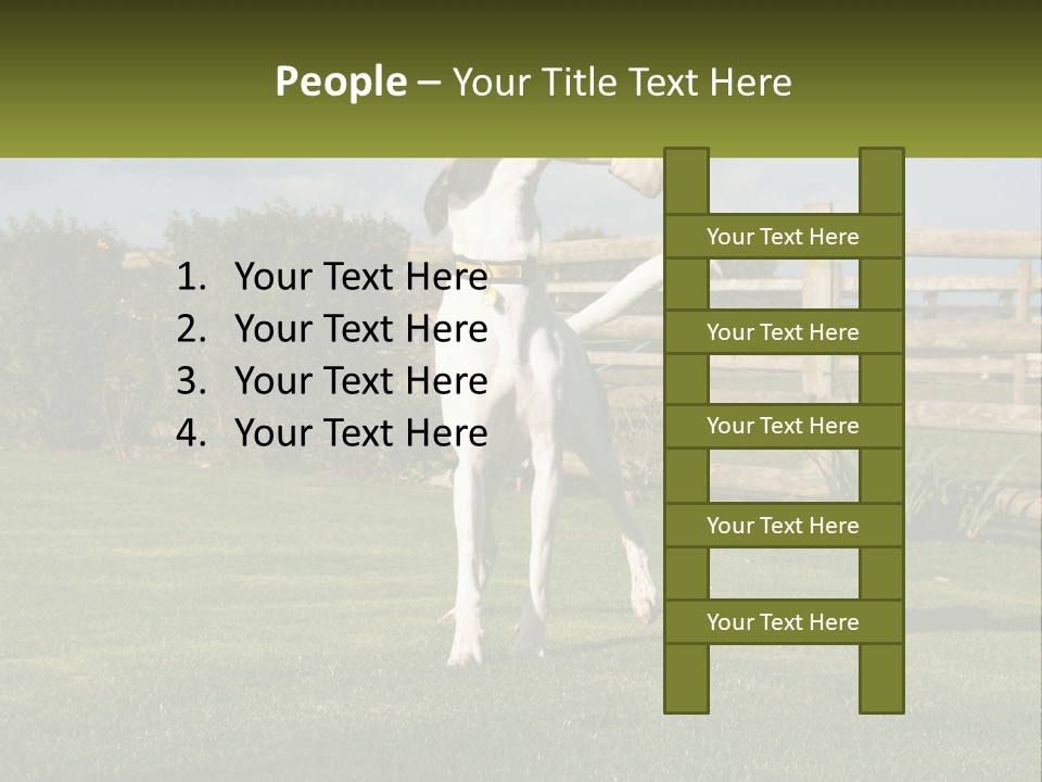 A Dog Jumping Up In The Air To Catch A Frisbee PowerPoint Template