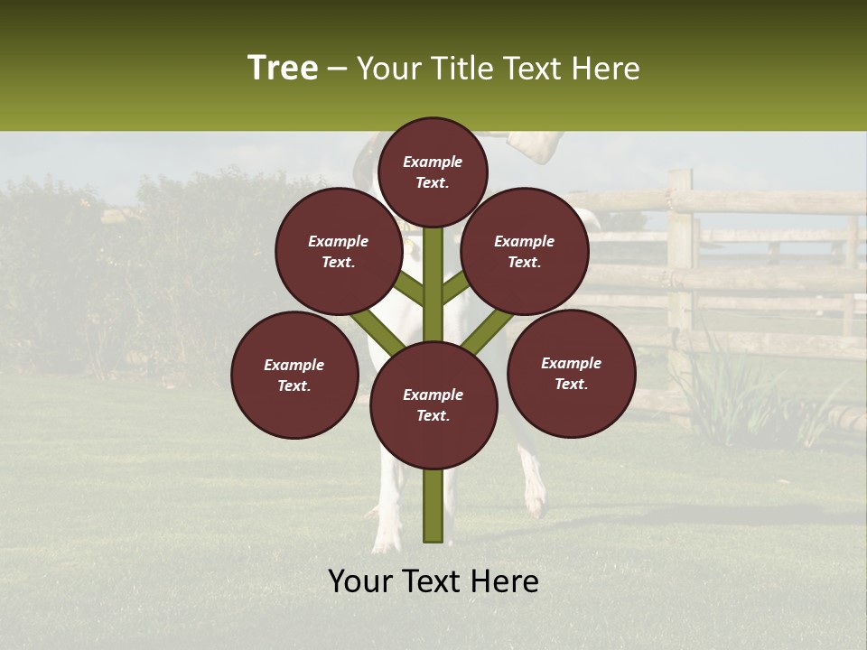 A Dog Jumping Up In The Air To Catch A Frisbee PowerPoint Template