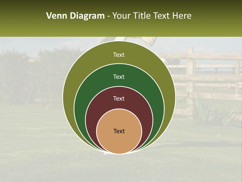 A Dog Jumping Up In The Air To Catch A Frisbee PowerPoint Template