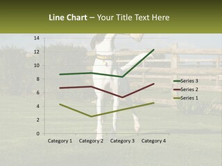 A Dog Jumping Up In The Air To Catch A Frisbee PowerPoint Template