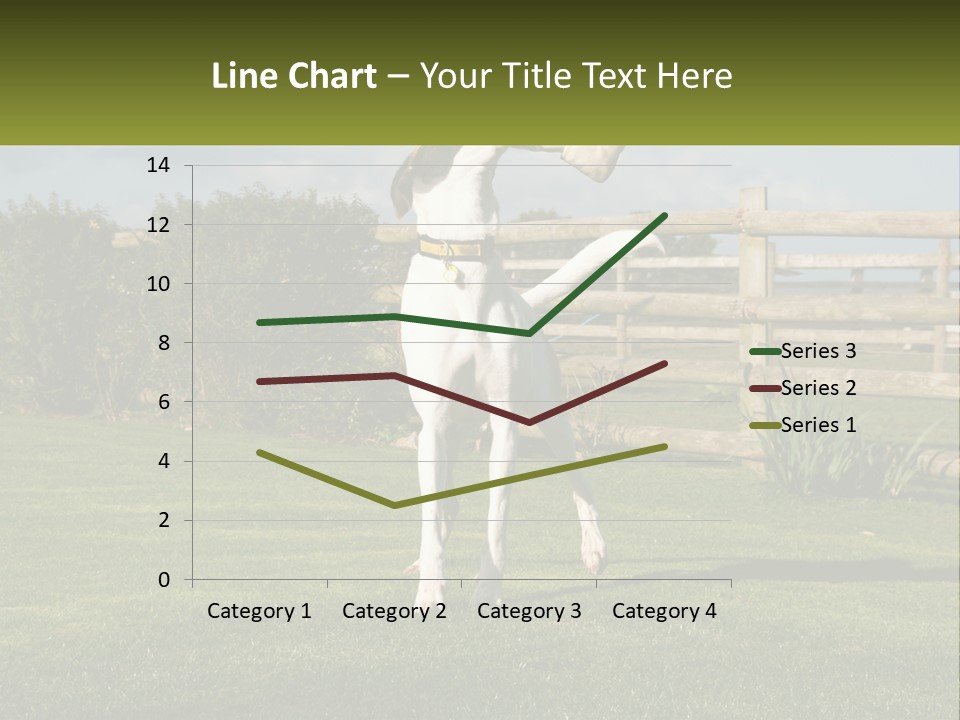 A Dog Jumping Up In The Air To Catch A Frisbee PowerPoint Template