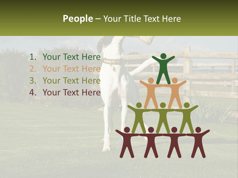 A Dog Jumping Up In The Air To Catch A Frisbee PowerPoint Template