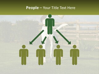 A Dog Jumping Up In The Air To Catch A Frisbee PowerPoint Template