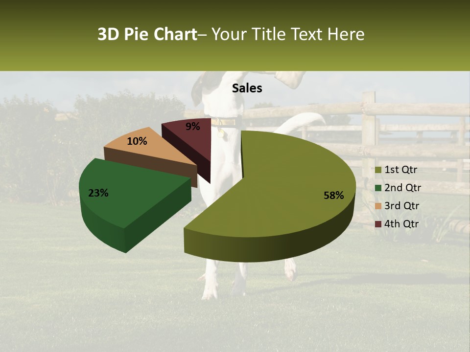 A Dog Jumping Up In The Air To Catch A Frisbee PowerPoint Template