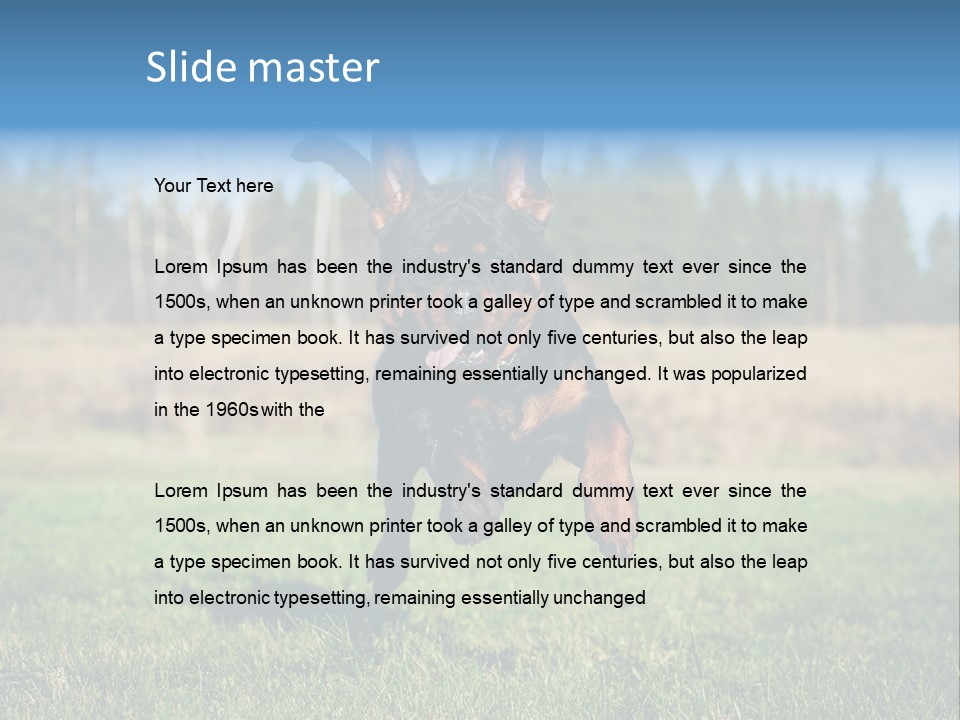 A Black And Brown Dog Jumping In The Air PowerPoint Template