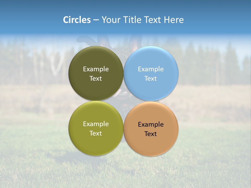 A Black And Brown Dog Jumping In The Air PowerPoint Template