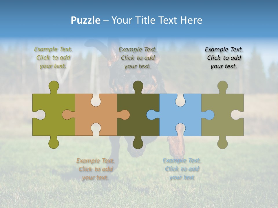 A Black And Brown Dog Jumping In The Air PowerPoint Template