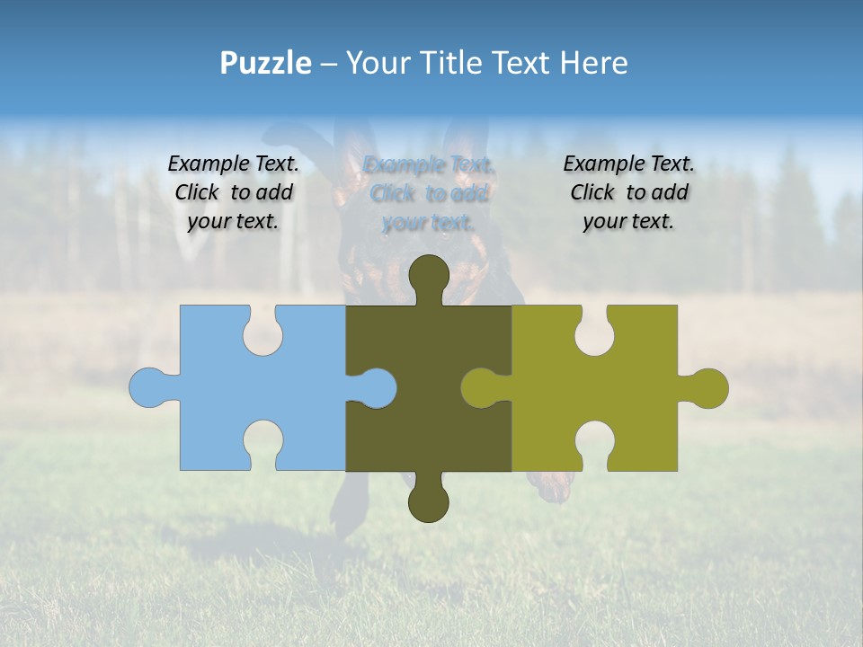 A Black And Brown Dog Jumping In The Air PowerPoint Template