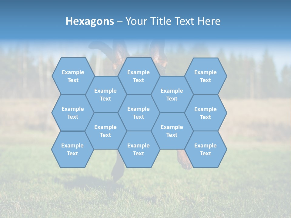 A Black And Brown Dog Jumping In The Air PowerPoint Template