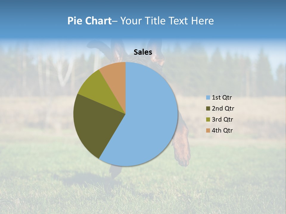 A Black And Brown Dog Jumping In The Air PowerPoint Template