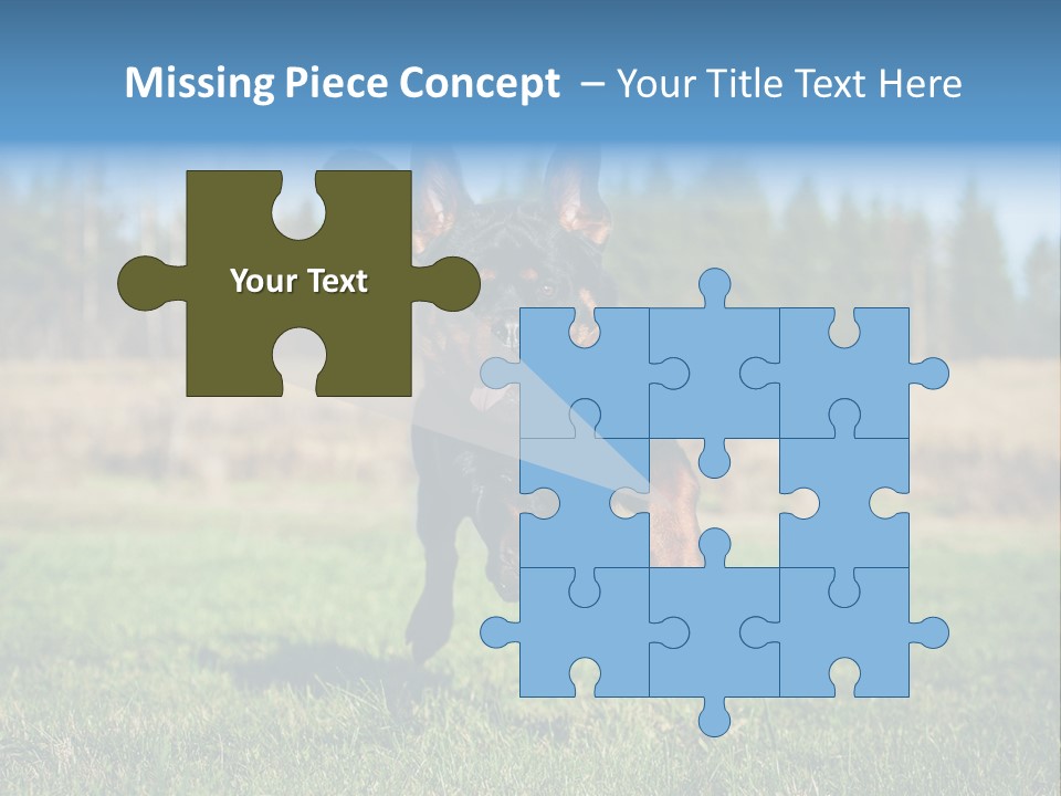 A Black And Brown Dog Jumping In The Air PowerPoint Template