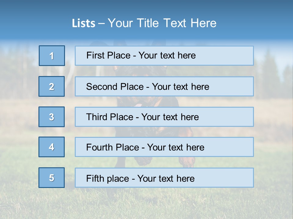 A Black And Brown Dog Jumping In The Air PowerPoint Template