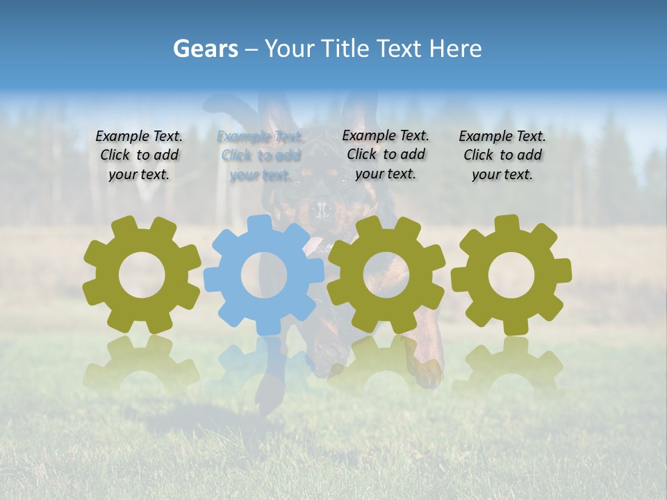 A Black And Brown Dog Jumping In The Air PowerPoint Template