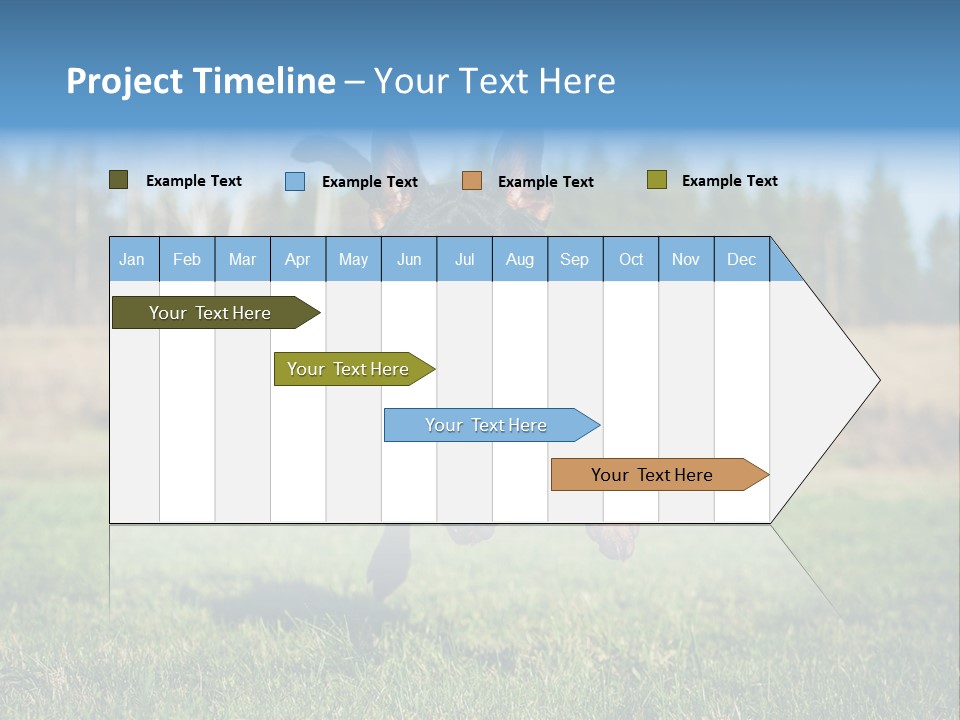 A Black And Brown Dog Jumping In The Air PowerPoint Template