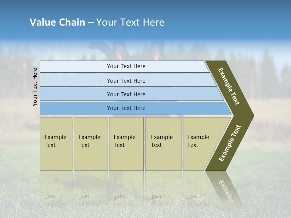 A Black And Brown Dog Jumping In The Air PowerPoint Template