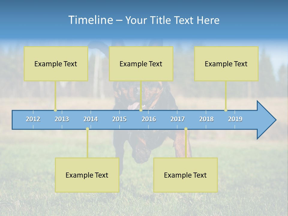 A Black And Brown Dog Jumping In The Air PowerPoint Template