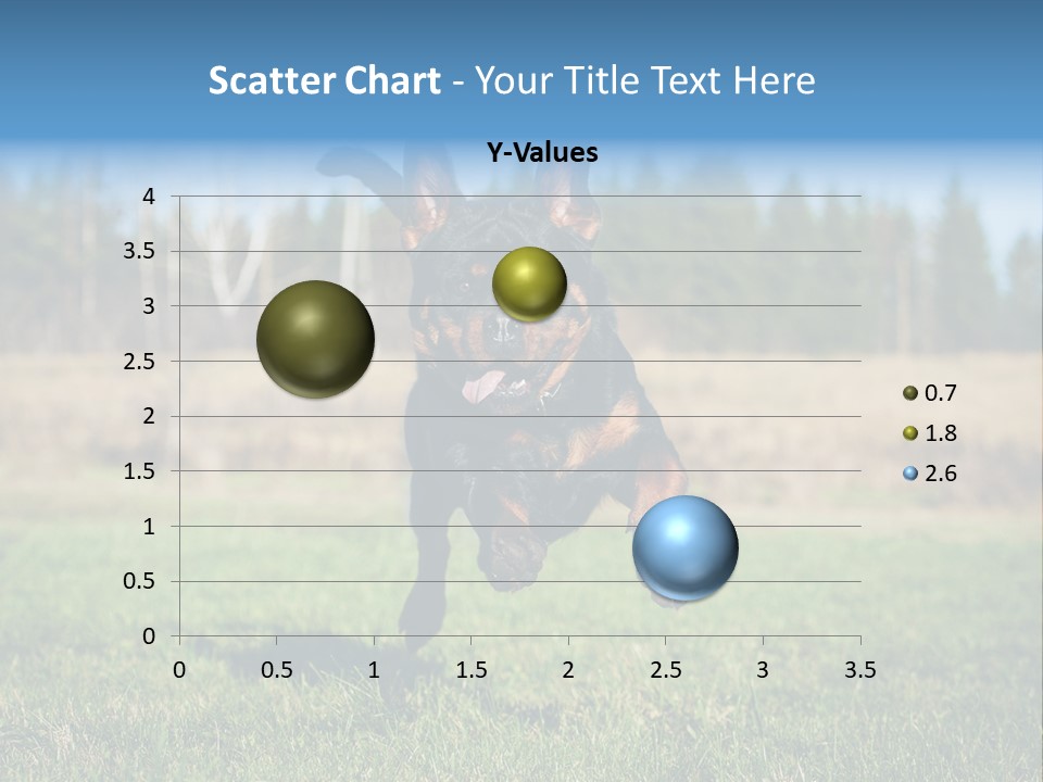 A Black And Brown Dog Jumping In The Air PowerPoint Template